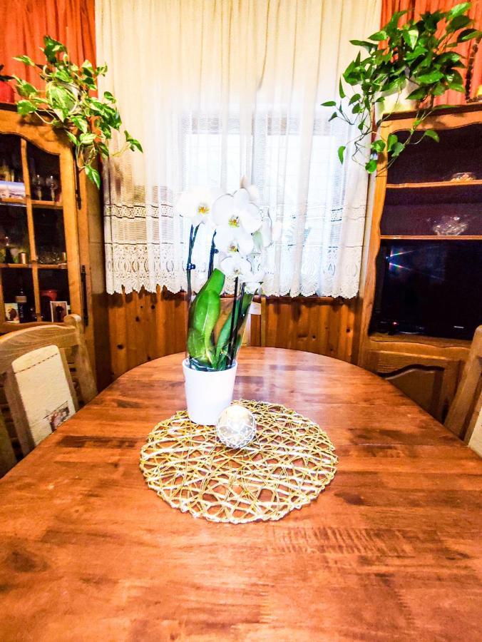 Apartmani Ankica Криквеница Екстериор снимка